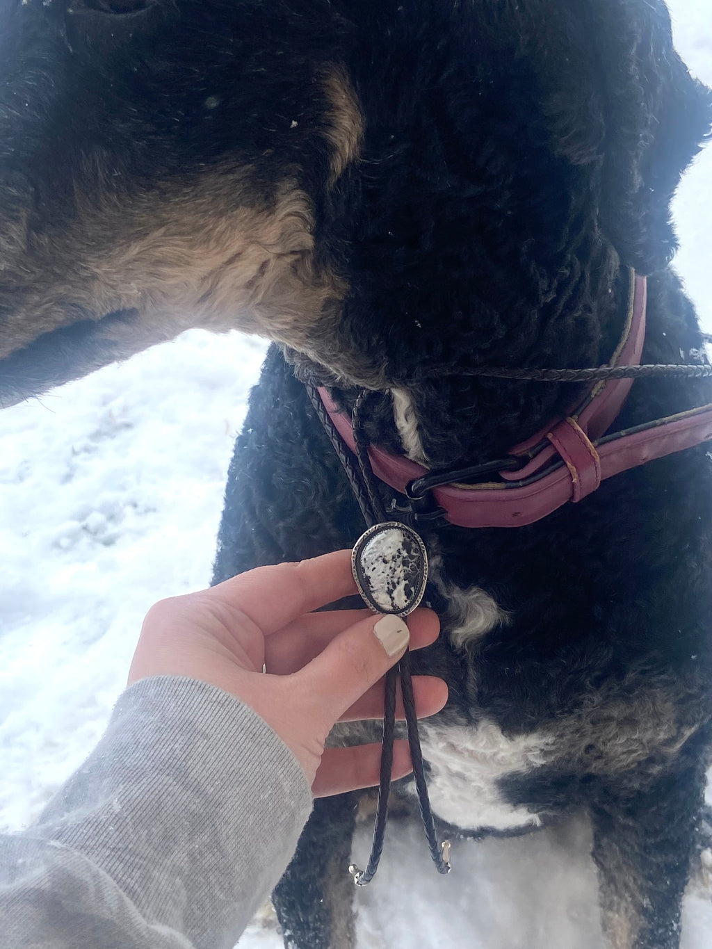 White Buffalo Bolo Tie